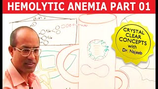 Hemolytic Anemia  Hematology  Part 1ðŸ©º [upl. by Ecirpac]