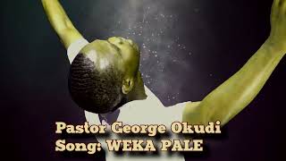 PASTOR OKUDIWEKA PALE [upl. by Einapets]