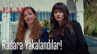 Radara yakalandılar  Yasak Elma [upl. by Whitson555]