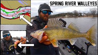 Catching TONS of Spring Walleyes in SHALLOW River [upl. by Veta]