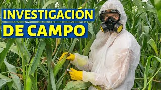 ¿Qué es la INVESTIGACIÓN DE CAMPO y cuáles son sus características Con ejemplos🔬👩‍🔬 [upl. by Ace300]