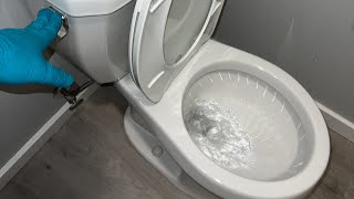 how to descale a slow flushing toilet [upl. by Otnas344]