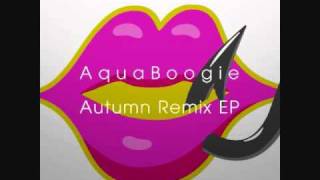 Aqua Boogie  Aqua Boogie Sender Of Rhythm Remix [upl. by Tonneson]