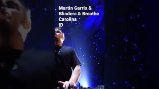 Martin Garrix amp Blinders  ID 2023 [upl. by Annairt125]