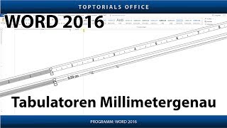 Tabulatoren setzen Millimetergenau Microsoft Word [upl. by Eva]