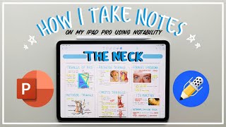 How I make NEAT NOTES on my IPAD PRO using NOTABILITY  Journey2Med [upl. by Arahk]