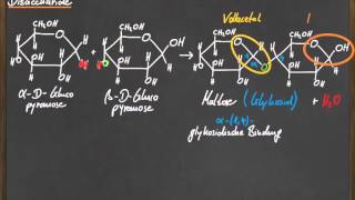 Q 11 Disaccharide [upl. by Pompei274]