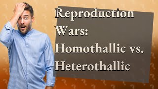 What is homothallic or heterothallic mycelia [upl. by Aivart502]