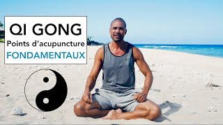 Acupuncture Theory  Traditional Chinese Medicine and Acupuncture [upl. by Gracia144]