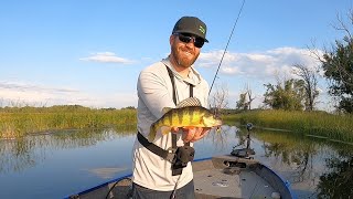 Locating and Catching Mississippi River Perch [upl. by Atirahs]