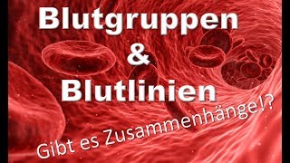 Blutgruppen und Blutlinien  Gibt es Zusammenhänge [upl. by Florida]