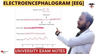 Electroencephalogram EEG  CNS Physiology [upl. by Vilma207]