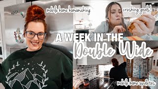 ✨ DOING ALL THE THINGS ✨mobile home updates  homemaking in the double wide  crushing some goals [upl. by Auqinal771]