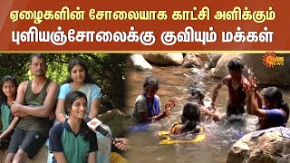 Trichy Puliyancholai Falls  ஏழைகளின் சோலையாக காட்சி அளிக்கும் புளியஞ்சோலைக்கு குவியும் மக்கள் [upl. by Helbonna109]