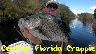 Central Florida Crappie Fishing [upl. by Nrublim]