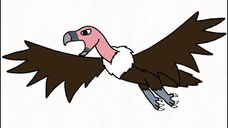 Redbeak The LappetFaced Vulture Screech [upl. by Ok]