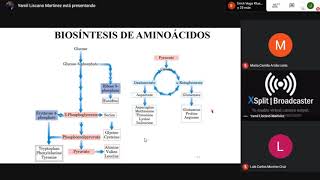 Metabolismo  Biosíntesis de Aminoácidos [upl. by Essirahc]