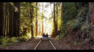 Rail Biking the Redwoods [upl. by Leonid]