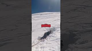 Skiers Life Saved After Falling Into Crevasse [upl. by Eissert]