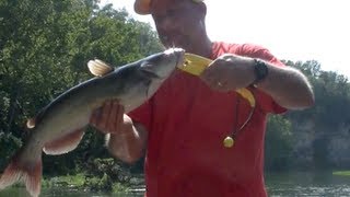 SIMPLE Way To Catch TONS Of Catfish [upl. by Rabush]