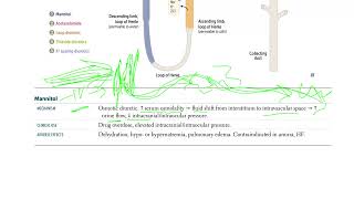 53 Mannitol  Osmotic Diuretic [upl. by Munsey]