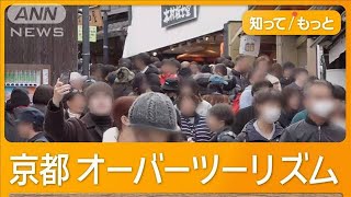 オーバーツーリズムの京都で違反行為横行 “逆ギレ”暴言に住職悲痛「敬意と配慮を」【もっと知りたい！】【グッド！モーニング】2025年2月23日 [upl. by Ydnas]