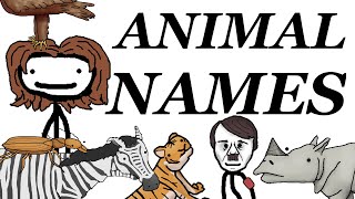 Where Animals Scientific Names Come From [upl. by Teddie589]