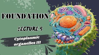 Cytoplasmic Organelles 3 [upl. by Rollie]