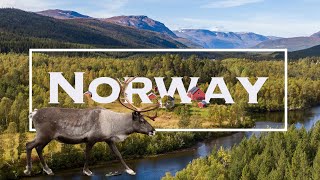 TOP 10 Best Places to Visit in Norway  The ULTIMATE Norway Travel Guide Video [upl. by Reifnnej437]