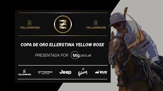 Copa de Oro Ellerstina Final  Colorado vs Bardon [upl. by Ardnahcal30]