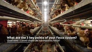 Case History Facco  Cage Free Poultry Equipment  MDS  Smart Farm [upl. by Aerdnaz158]