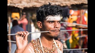 Festival of Thaipusam in Palani Tamil Nadu India 022020 [upl. by Esilrac]