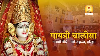 Gayatri Chalisa  मां गायत्री चालीसा  Maa Gayatri KI वंदना  गायत्री परिवार की गायत्री चालीसा [upl. by Ailegra855]