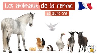 Les Animaux De La Ferme En Français  Les Cris Des Animaux Et Les Noms Des Animaux Pour Les Enfants [upl. by Nosnirb494]