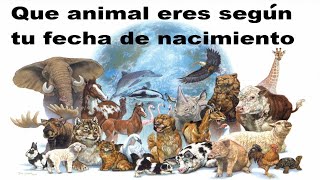 Que Animal Eres Según tu Fecha de Nacimiento Nueva Edición viral viralvideo [upl. by Golding]