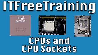 CPUs and CPU Sockets [upl. by Nohsauq]