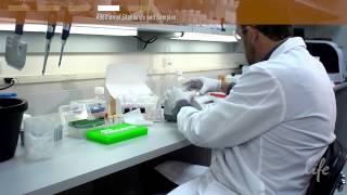 Using Novex® Antibody Pairs to make an ELISA [upl. by Inalel]