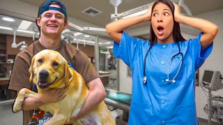 Transgender Dog PRANK [upl. by Yalhsa]