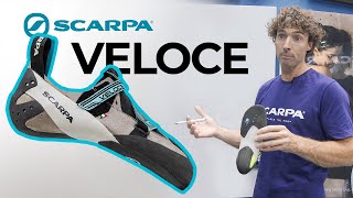 ALL NEW SCARPA Veloce indoor climbing shoe [upl. by Bili]