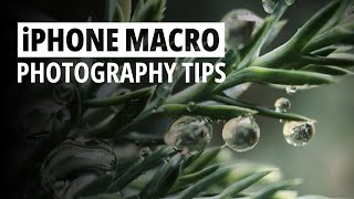 Master iPhone Macro Photography [upl. by Roi]