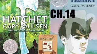 Hatchet  Audiobook Chapter 14 [upl. by Wall]