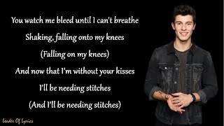 Shawn Mendes  STITCHES Lyrics [upl. by Akinehs]