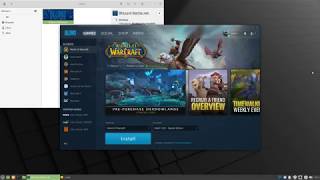 Lutris on Linux Install Lutris and Battlenet [upl. by Ayit]