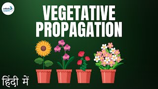 Reproduction  Lesson 13  Vegetative Propagation Introduction  in Hindi हिंदी में [upl. by Gladwin]