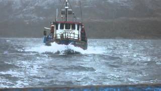 pescadores de puerto natales [upl. by Fennie]