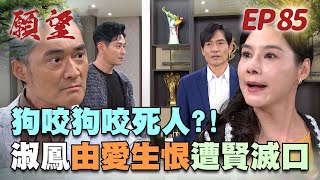 願望 EP85 完整版｜前妻瘋起來無極限！淑鳳世賢上演狗咬狗 下場是遭滅口？耀武不受控 硬要認家翔做兒子！｜Desires｜【十全味噌】 [upl. by Flannery]