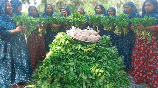 Radish Leaves amp Chicken Gravy Recipe  Mular Shak with Chicken Ghonto  Delicious Village Food [upl. by Etnovaj]