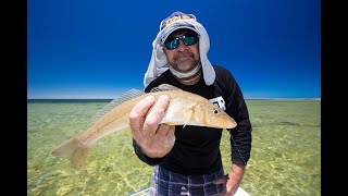 How to fillet yellowfin whiting HD [upl. by Eibrad]