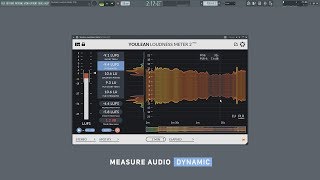 Youlean Loudness Meter 2  VST AU and AAX plugin [upl. by Nibbor761]