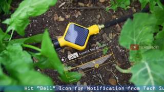 EDYN Introduction  Garden Sensor  Control your garden by your smart phone [upl. by Annal902]